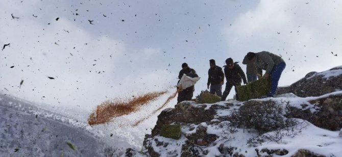 Adana’da Yaban Hayvanlarına Yem Desteği