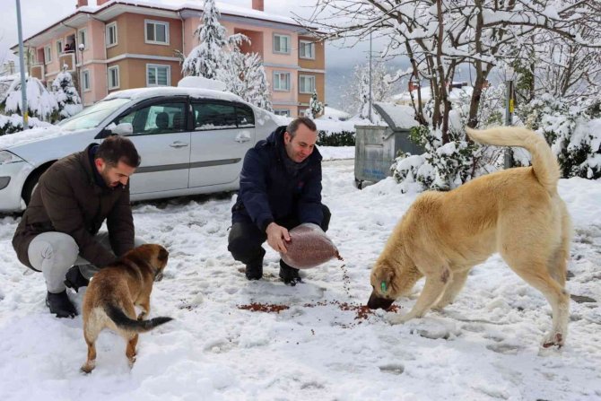 Tutuk, Kar Sonrası Saha Çalışmalarını İnceledi
