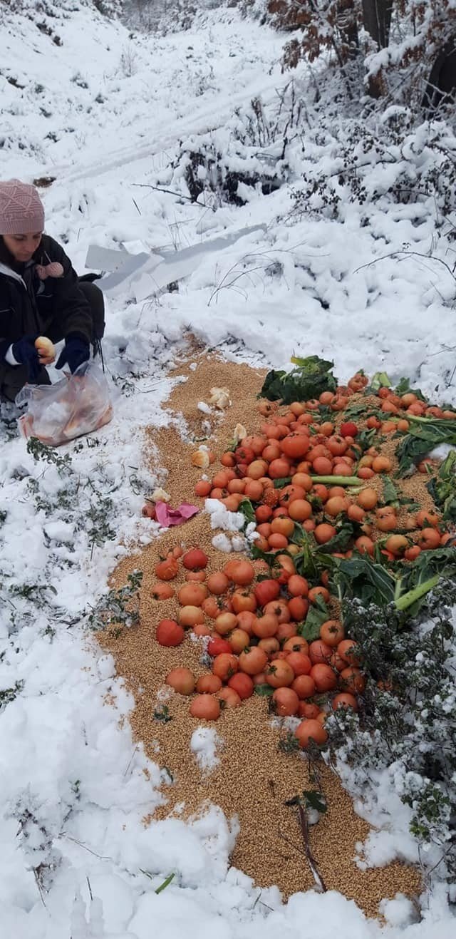 Yalova’da Yaban Ve Av Hayvanlarına Yem Bırakıldı
