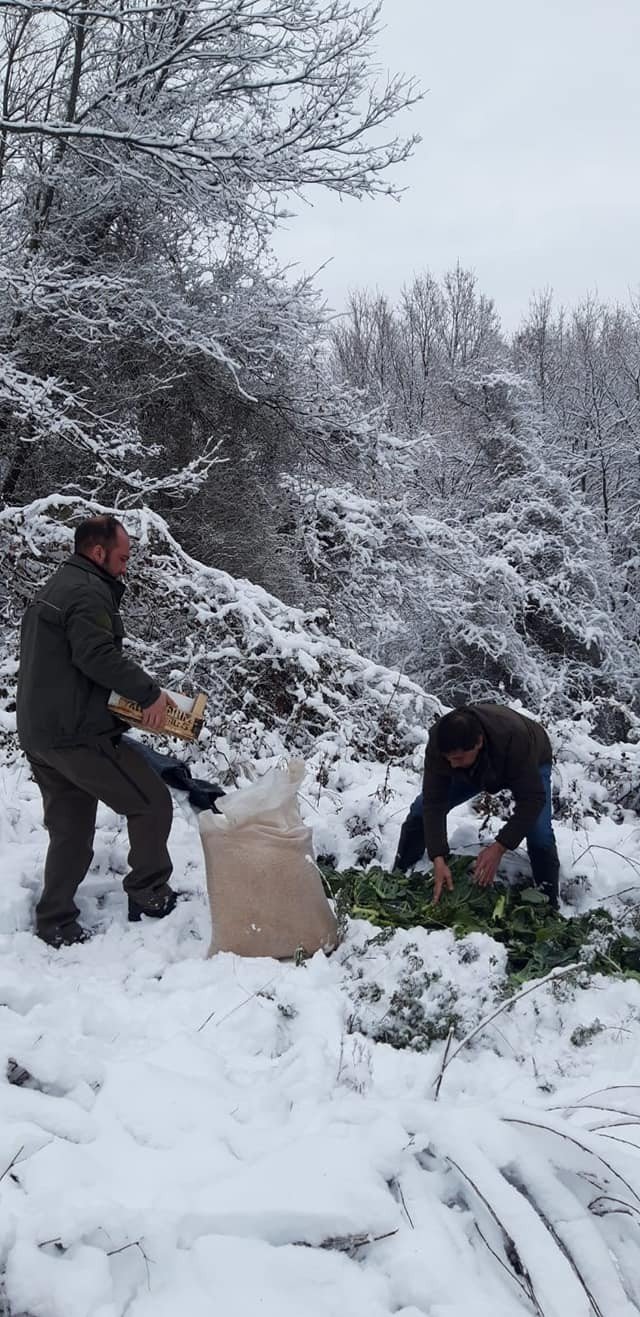 Yalova’da Yaban Ve Av Hayvanlarına Yem Bırakıldı