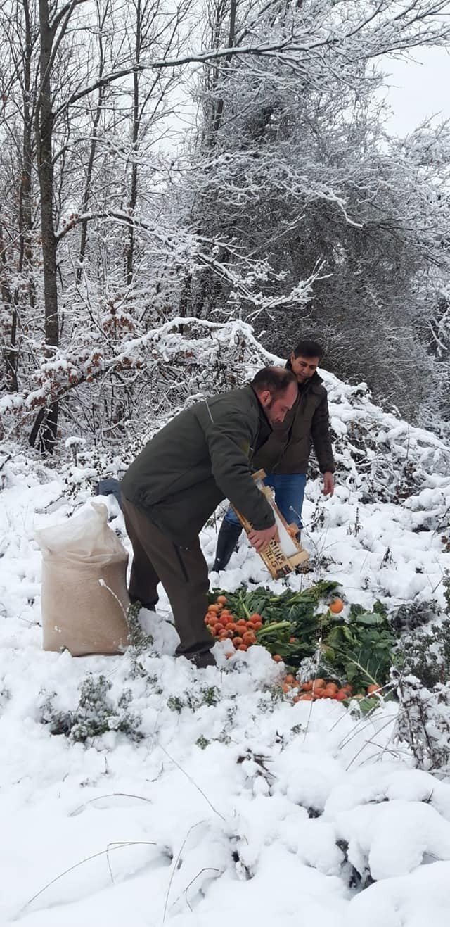 Yalova’da Yaban Ve Av Hayvanlarına Yem Bırakıldı
