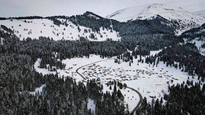 Manzarayı Görenler Durup Cep Telefonuna Sarılıyor