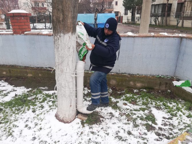 Biga Belediyesi Sokak Hayvanlarını Unutmadı