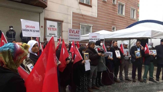 Evlat Nöbetindeki Aileler, Engelli Çocukları İstedi