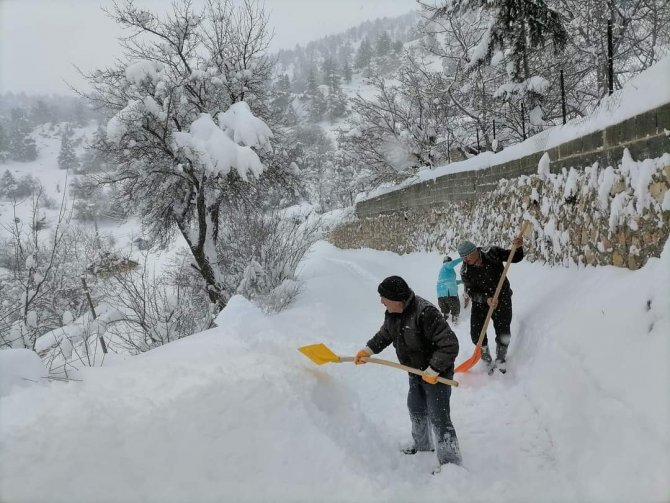 Hayat Dondu, Çalışanlar Yürüyerek İşe Gitti