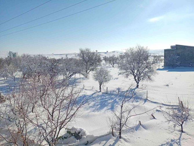 Dicle’de Kar Yağışı Hayatı Olumsuz Etkiledi