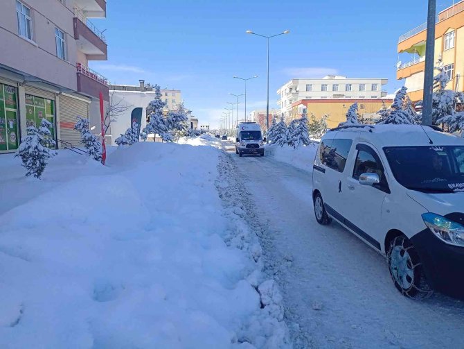 Dicle’de Kar Yağışı Hayatı Olumsuz Etkiledi