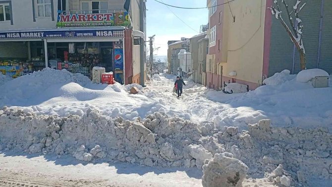 Dicle’de Kar Yağışı Hayatı Olumsuz Etkiledi