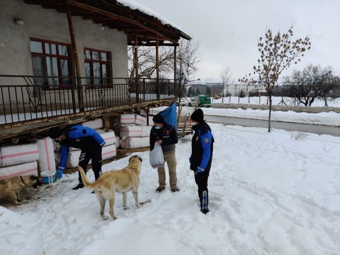 Elazığ Haydi̇ Ekibi Sokak Hayvanlarını Unutmadı