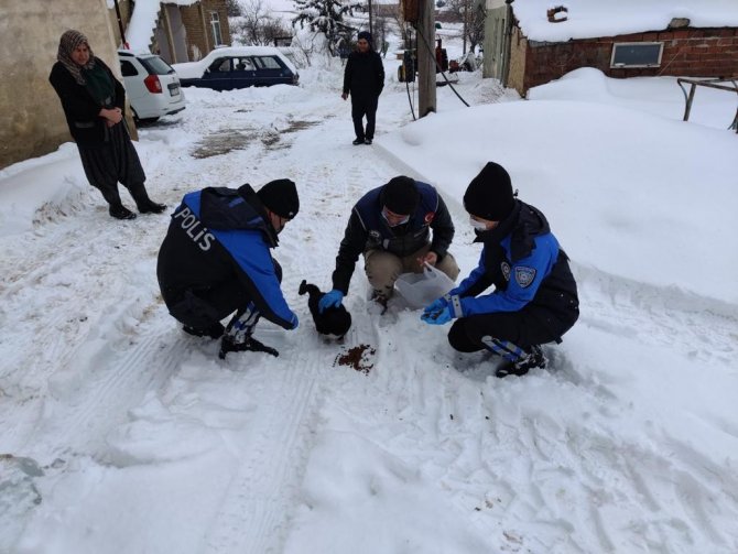 Elazığ Haydi̇ Ekibi Sokak Hayvanlarını Unutmadı