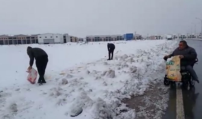 Engelli Aracına Binip Sokak Hayvanlarına Mama Bıraktı