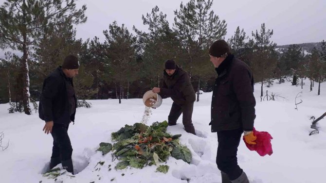 Yaban Hayvanları İçin Doğaya 350 Kilogram Yem Bırakıldı