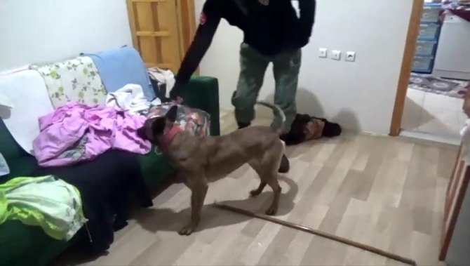 Konya’da Uyuşturucu Operasyonu: 12 Gözaltı