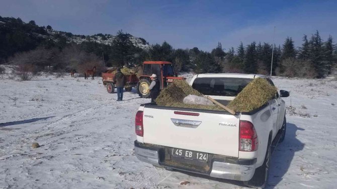 Karla Kaplanan Spil’de Yaban Hayatı Unutulmadı