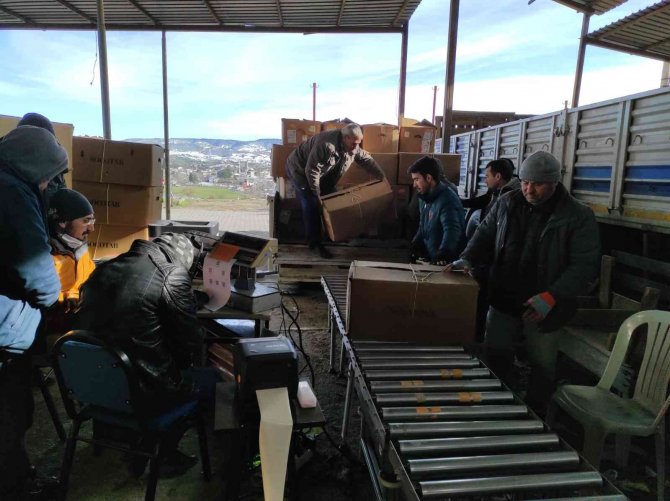 Selendi’de Tütünde Başfiyatı 35 Tl Olarak Açıklandı