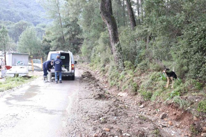 Marmaris Belediyesi Sokaktaki Canları Yalnız Bırakmadı