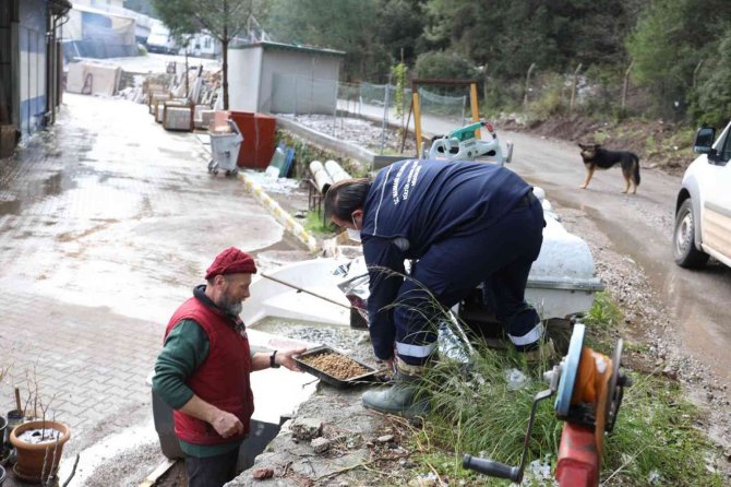 Marmaris Belediyesi Sokaktaki Canları Yalnız Bırakmadı