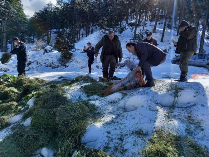 Muğla’da Yaban Hayvanları Unutulmadı
