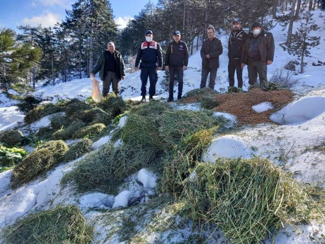 Muğla’da Yaban Hayvanları Unutulmadı