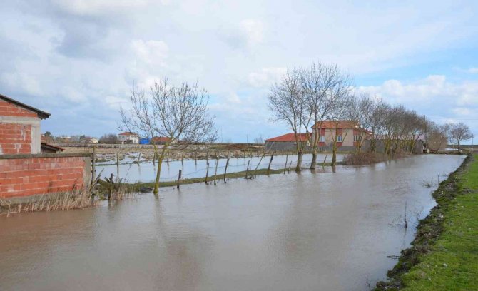 Bafra Ovası’nda Kanal Taştı, Tarım Arazileri Ve Ahırlar Sular Altında Kaldı