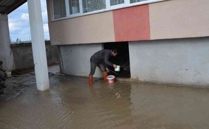 Bafra Ovası’nda Kanal Taştı, Tarım Arazileri Ve Ahırlar Sular Altında Kaldı