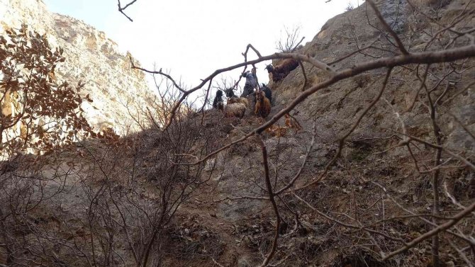 Dağ Yamacında Mahsur Kalan Keçileri Köylüler Kendi İmkanlarıyla Kurtardı
