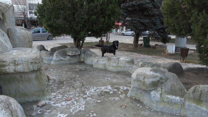 Trakya Buz Kesti