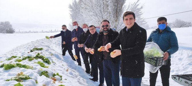 Kaymakam Ve Belediye Başkanı Sokak Hayvanları İçin Doğaya Yem Bıraktı