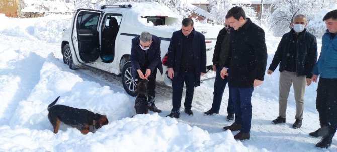 Kaymakam Ve Belediye Başkanı Sokak Hayvanları İçin Doğaya Yem Bıraktı