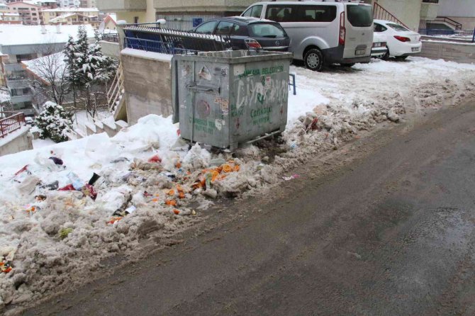 Her Yer Açık, Çankaya Kapalı