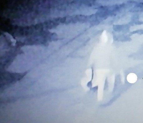 Avcılar’da Otomobillere Dadanan Hırsız Kamerada