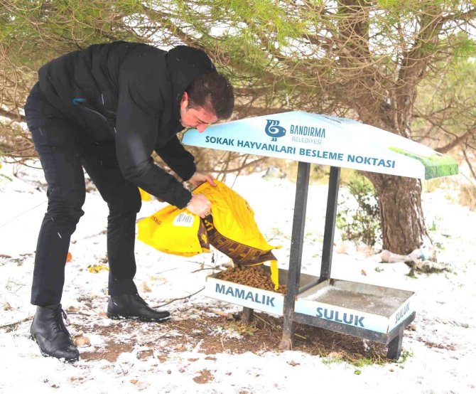 Başkan Tosun’dan Can Dostlara Şefkat Eli