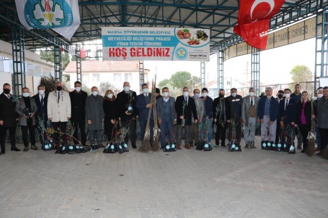 Manisalı Üreticilere Yüzde 75 Hibe Destekli Meyve Fidanı
