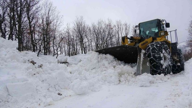 Bingöl’de Kar Nedeniyle 71 Köy Yolu Ulaşıma Kapandı