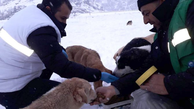 Canik’te Yoğun Kar Mesaisi