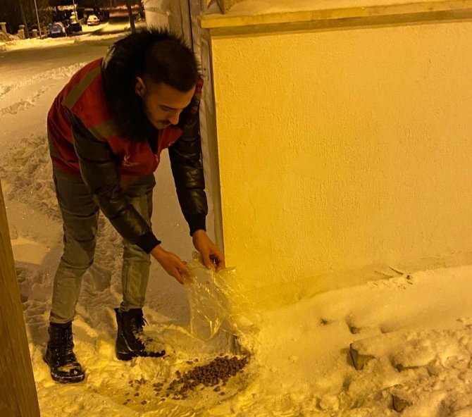 Kale’nin Genç Alperenleri Sokak Hayvanlarını Unutmadı