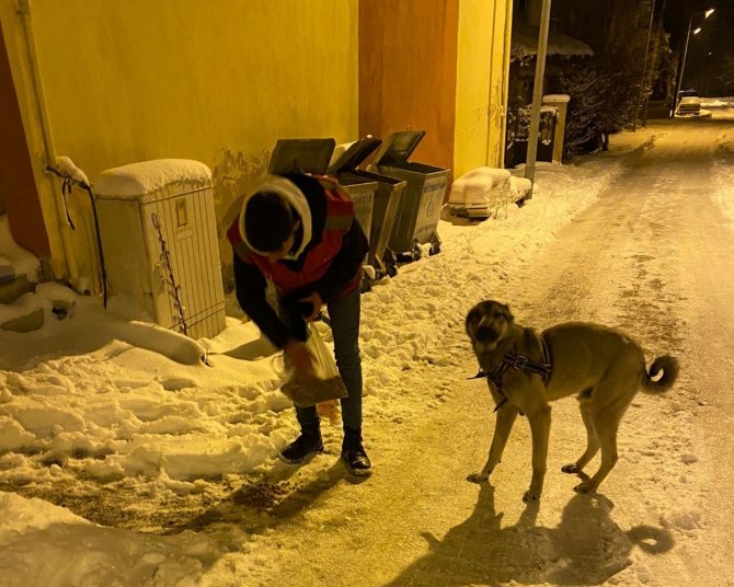 Kale’nin Genç Alperenleri Sokak Hayvanlarını Unutmadı