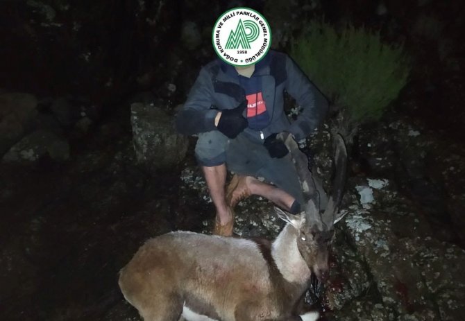 4 Yaban Keçisi Vuran 6 Kişiye Para Cezası Kesildi