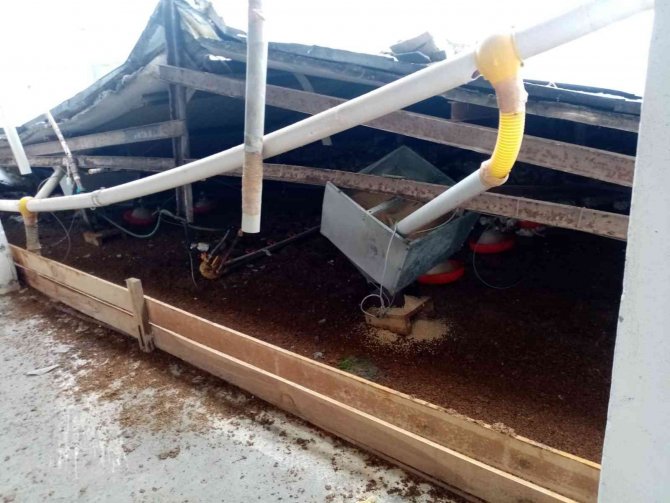 (Düzeltme) Kara Dayanamayan Çiftlik Çatısı Çöktü: 18 Bine Yakın Tavuk Telef Oldu