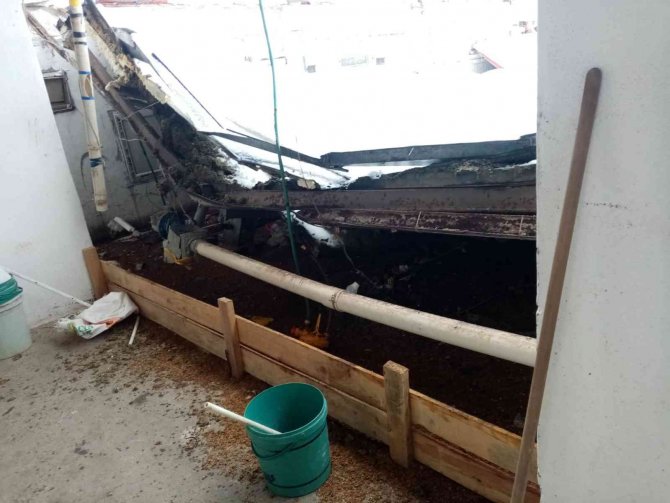 (Düzeltme) Kara Dayanamayan Çiftlik Çatısı Çöktü: 18 Bine Yakın Tavuk Telef Oldu
