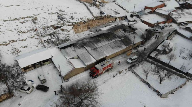 80 Hayvanın Telef Olduğu Ağıl Gün Işığında Görüntülendi