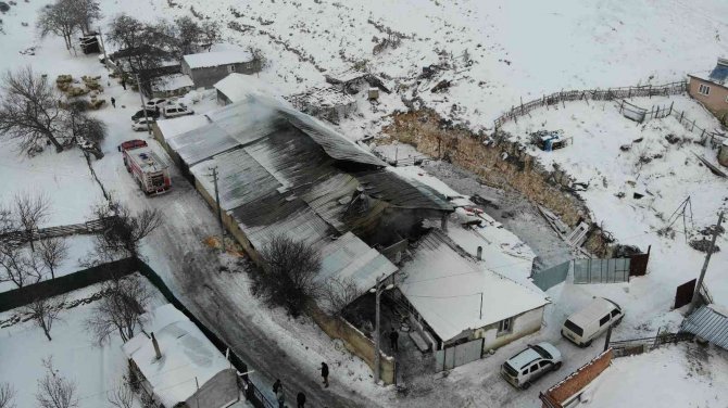 80 Hayvanın Telef Olduğu Ağıl Gün Işığında Görüntülendi