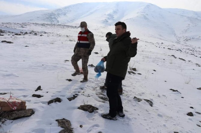 Jandarma Ve Emniyetten Yemleme Çalışması