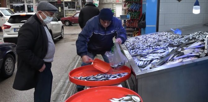 Hamsi Geri Geldi, Balıkçılar Neşelendi