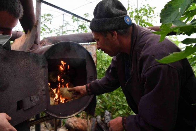 Konyaaltı’ndan Seracılara Ücretsiz Briket Yakıt Desteği