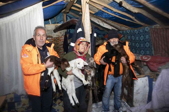 Karda Mahsur Kalan 120 Küçükbaş Hayvan Kurtarıldı