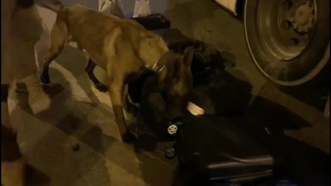 "Brego" Uyuşturucuya Geçit Vermedi