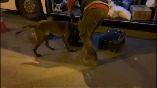 "Brego" Uyuşturucuya Geçit Vermedi