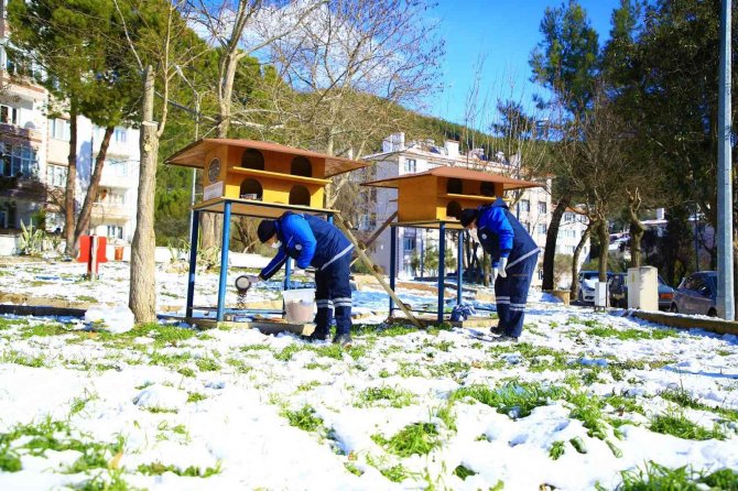 Büyükşehir, Sokak Hayvanlarını Unutmadı