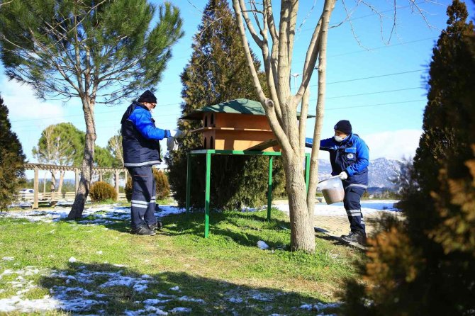 Büyükşehir, Sokak Hayvanlarını Unutmadı